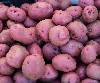 Potatoes, Red - Medium